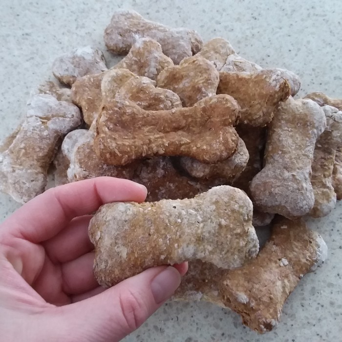 Biscuits pour chien (gros)